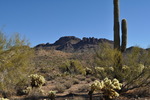 photo thumbnail #2