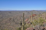 photo thumbnail #4