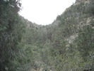 photo thumbnail #11