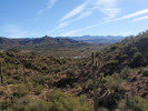 photo thumbnail #4