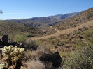 photo thumbnail #9