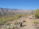 photo thumbnail #11