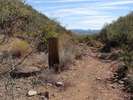 photo thumbnail #14