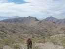 photo thumbnail #7