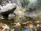 photo thumbnail #5