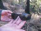 photo thumbnail #3