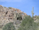 photo thumbnail #8