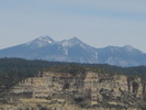 photo thumbnail #8