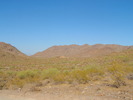 photo thumbnail #7