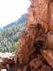 photo thumbnail #14