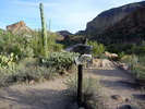photo thumbnail #2