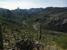 photo thumbnail #4