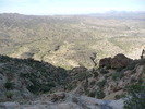 recent photo