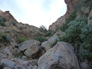 photo thumbnail #7