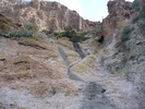 recent photo
