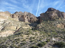 recent photo