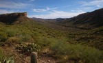 photo thumbnail #4