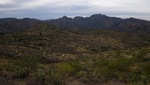photo thumbnail #6