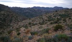 photo thumbnail #7