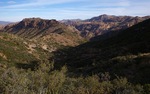 photo thumbnail #12