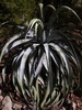 Featured Detail Photo