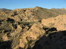 photo thumbnail #12