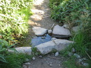 photo thumbnail #3