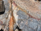 photo thumbnail #11