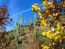 photo thumbnail #5