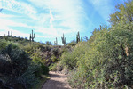 photo thumbnail #3