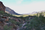 photo thumbnail #10