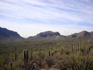 photo thumbnail #4