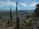 photo thumbnail #5