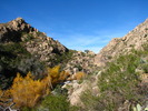 photo thumbnail #5