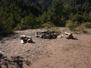 photo thumbnail #9