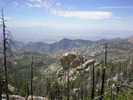 photo thumbnail #1