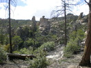 photo thumbnail #6