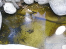 photo thumbnail #11