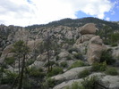 photo thumbnail #12