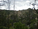 photo thumbnail #14