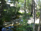 photo thumbnail #15