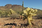 photo thumbnail #5