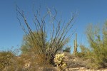photo thumbnail #6