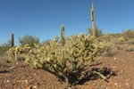 photo thumbnail #8