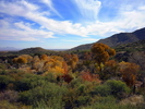 photo thumbnail #1