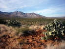 photo thumbnail #6