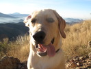 photo thumbnail #4