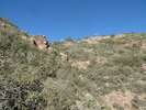 photo thumbnail #8