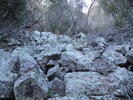 photo thumbnail #9