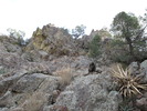photo thumbnail #12